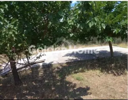 Οικιστικό 24500τ.μ. προς πώληση φωτογραφία 5365512