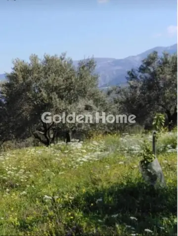 Οικιστικό 24500τ.μ. προς πώληση φωτογραφία 5365512