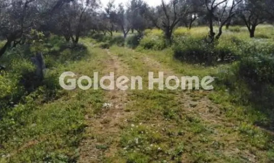 Οικιστικό 24500τ.μ. προς πώληση φωτογραφία 5365512