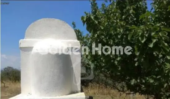 Οικιστικό 24500τ.μ. προς πώληση φωτογραφία 5365512