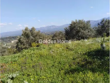 Οικιστικό 24500τ.μ. προς πώληση φωτογραφία 5365512