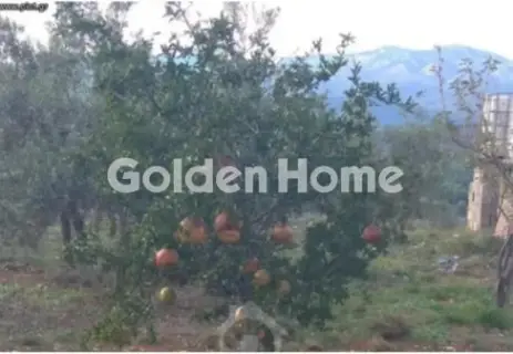 Οικιστικό 24500τ.μ. προς πώληση φωτογραφία 5365513