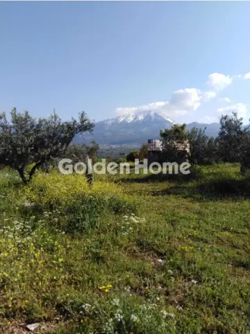 Οικιστικό 24500τ.μ. προς πώληση φωτογραφία 5365513