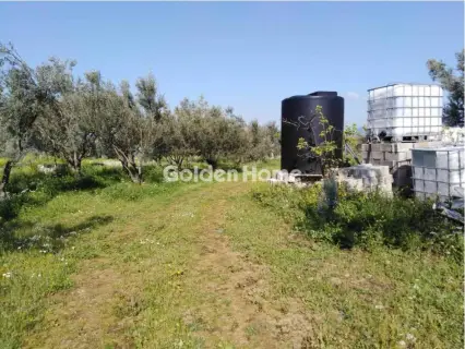 Οικιστικό 24500τ.μ. προς πώληση φωτογραφία 5365513