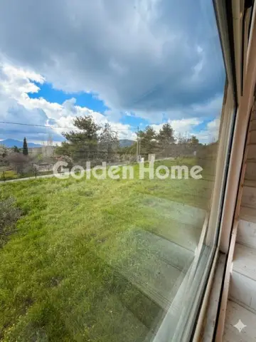 Μονοκατοικία 313τ.μ. προς πώληση φωτογραφία 10