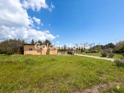 Μονοκατοικία 313τ.μ. προς πώληση φωτογραφία 25