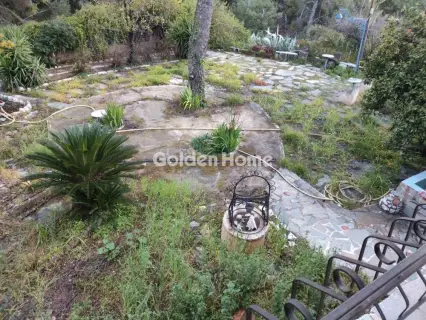 Μονοκατοικία 272τ.μ. προς πώληση φωτογραφία 7