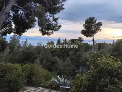 Μονοκατοικία 272τ.μ. προς πώληση φωτογραφία 8