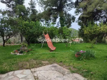 House 272m<sup>2</sup> for sale photo 5473440