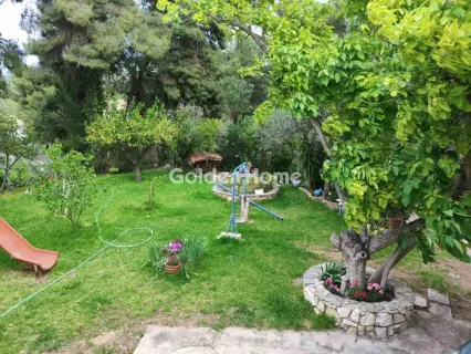 House 272m<sup>2</sup> for sale photo 5473456