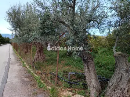 Οικιστικό 4000τ.μ. προς πώληση φωτογραφία 5366742