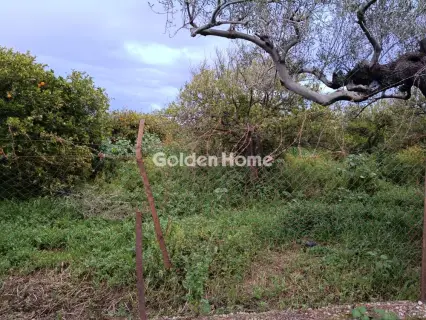 Οικιστικό 4000τ.μ. προς πώληση φωτογραφία 5366761