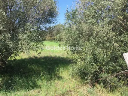 Αγροτεμάχιο 6800τ.μ. προς πώληση φωτογραφία 5367492