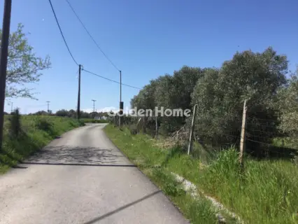 Αγροτεμάχιο 6800τ.μ. προς πώληση φωτογραφία 5367494