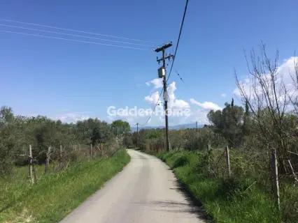 Αγροτεμάχιο 6800τ.μ. προς πώληση φωτογραφία 5367495