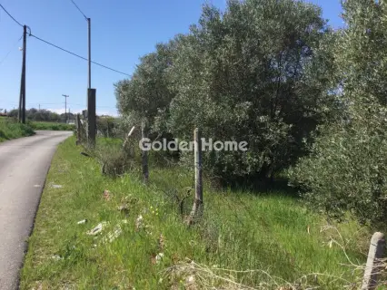 Αγροτεμάχιο 6800τ.μ. προς πώληση φωτογραφία 5367496