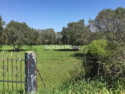 Αγροτεμάχιο 6800τ.μ. προς πώληση φωτογραφία 5367498