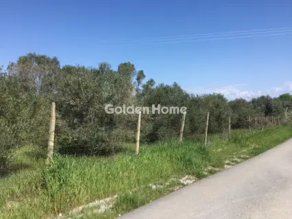 Αγροτεμάχιο 6800τ.μ. προς πώληση φωτογραφία 5367499