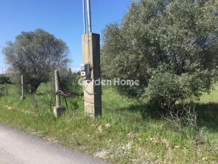 Αγροτεμάχιο 6800τ.μ. προς πώληση φωτογραφία 5367500