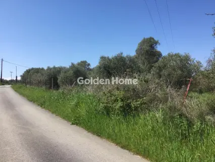 Αγροτεμάχιο 6800τ.μ. προς πώληση φωτογραφία 5367501