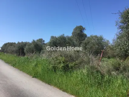 Αγροτεμάχιο 6800τ.μ. προς πώληση φωτογραφία 5367502