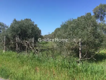 Αγροτεμάχιο 6800τ.μ. προς πώληση φωτογραφία 5367503