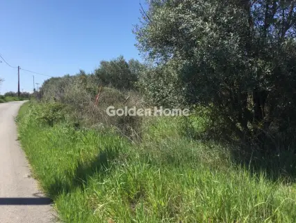 Αγροτεμάχιο 6800τ.μ. προς πώληση φωτογραφία 5367503