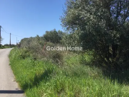 Αγροτεμάχιο 6800τ.μ. προς πώληση φωτογραφία 5367504