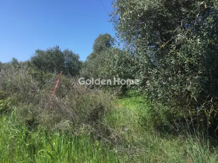 Αγροτεμάχιο 6800τ.μ. προς πώληση φωτογραφία 5367505