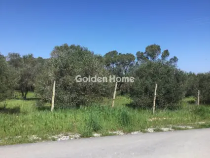 Αγροτεμάχιο 6800τ.μ. προς πώληση φωτογραφία 5367505