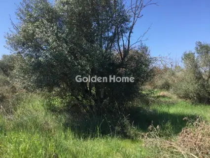 Αγροτεμάχιο 6800τ.μ. προς πώληση φωτογραφία 5367506