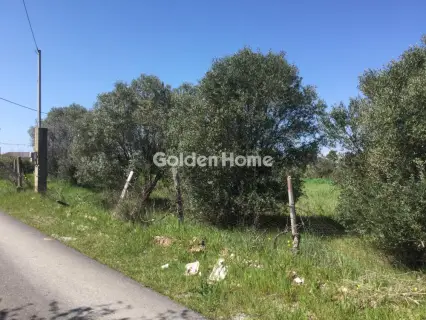 Αγροτεμάχιο 6800τ.μ. προς πώληση φωτογραφία 5367508