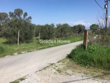 Αγροτεμάχιο 6800τ.μ. προς πώληση φωτογραφία 5367509