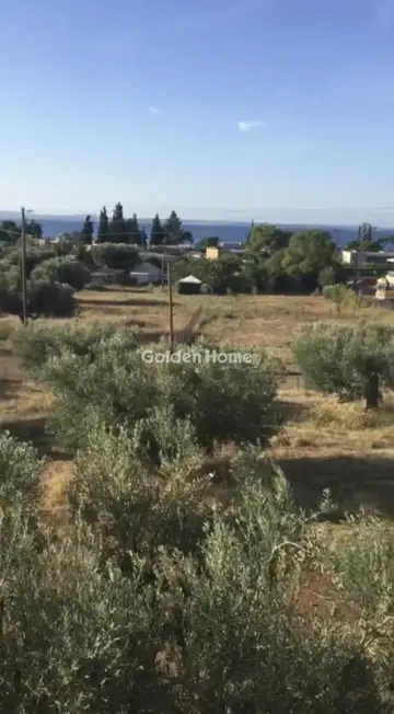 Διαμέρισμα 31τ.μ. προς πώληση φωτογραφία 8