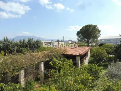 Μονοκατοικία 235τ.μ. προς πώληση φωτογραφία 5368835