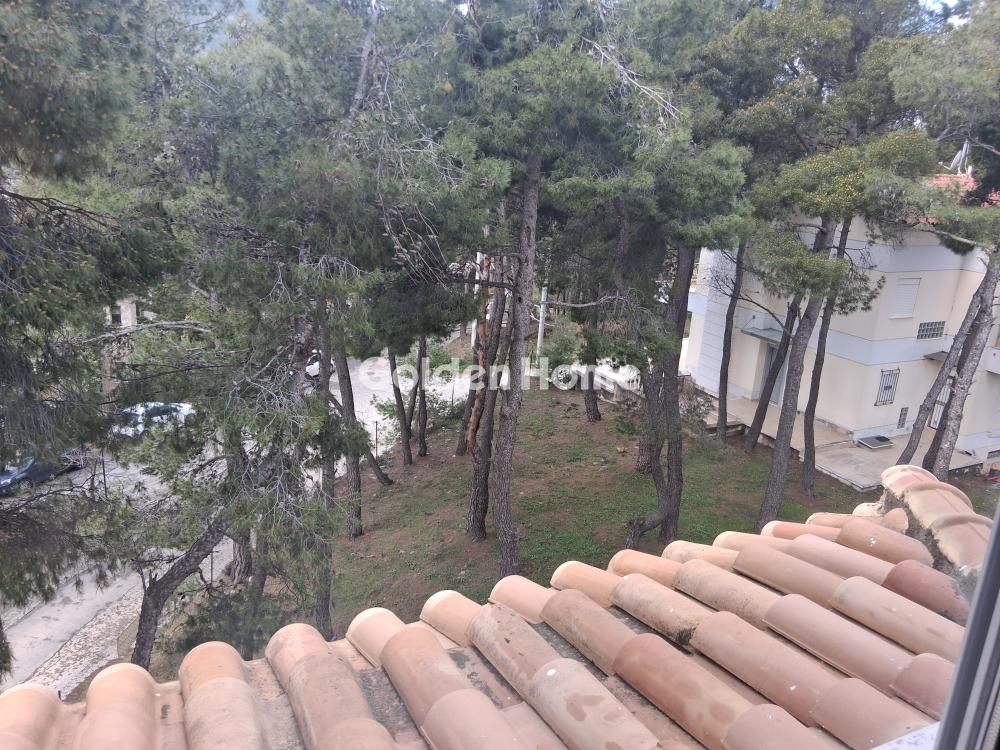 Μεζονέτα Εφαπτόμενη 360τ.μ. προς ενοικίασηφωτογραφία 33