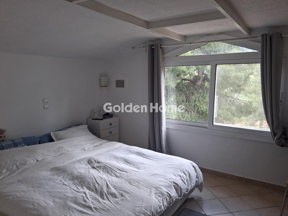 Μεζονέτα Εφαπτόμενη 360τ.μ. προς ενοικίασηφωτογραφία 20