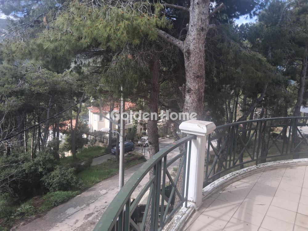 Μεζονέτα Εφαπτόμενη 360τ.μ. προς ενοικίασηφωτογραφία 25