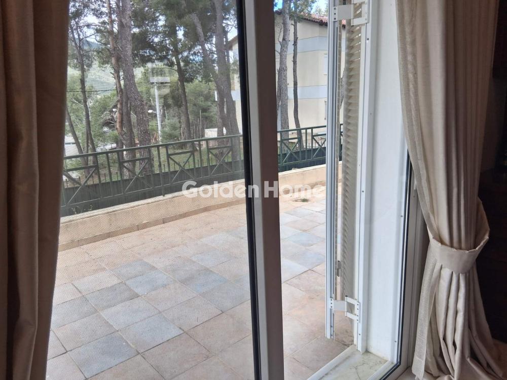 Μεζονέτα Εφαπτόμενη 360τ.μ. προς ενοικίασηφωτογραφία 28