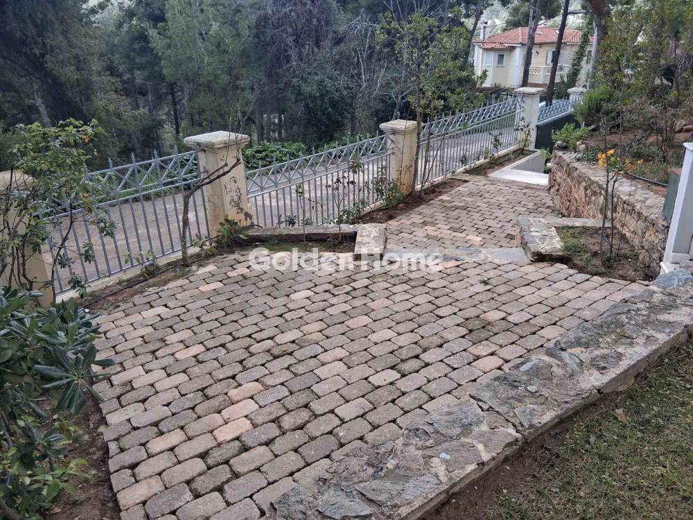 Μεζονέτα Εφαπτόμενη 360τ.μ. προς ενοικίασηφωτογραφία 29