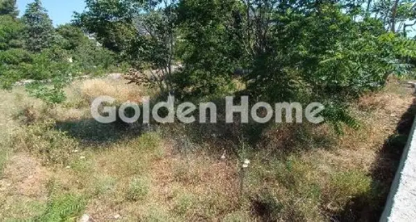 Οικιστικό 1530τ.μ. προς πώληση φωτογραφία 5369458