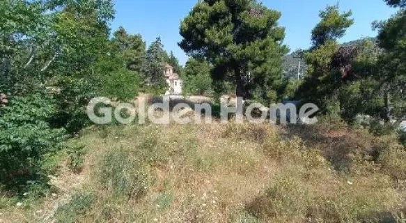 Οικιστικό 1530τ.μ. προς πώληση φωτογραφία 5369458