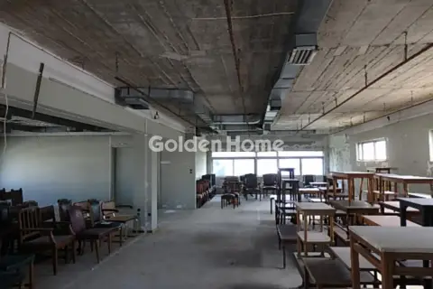 Αυτόνομο Κτίριο 4671τ.μ. προς πώληση φωτογραφία 3