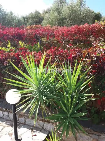 House 160m<sup>2</sup> for rent photo 5370079