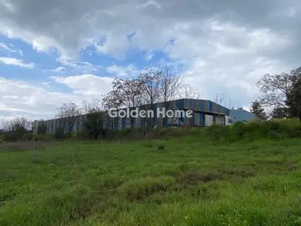 Industrial 3473m<sup>2</sup> for sale photo 1