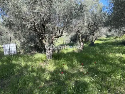 House 60m<sup>2</sup> for rent photo 5370671