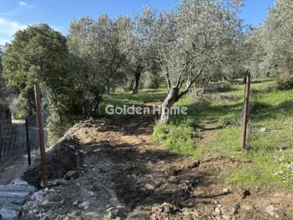 House 60m<sup>2</sup> for rent photo 5370672