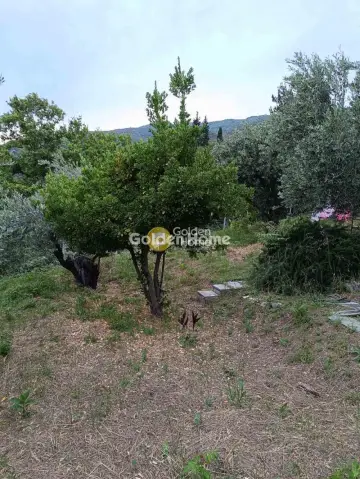 House 60m<sup>2</sup> for rent photo 5370673