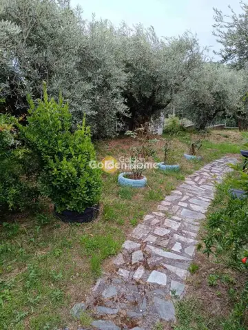 House 60m<sup>2</sup> for rent photo 5370674