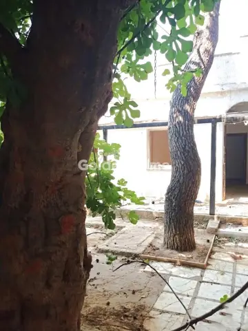 Μονοκατοικία 74τ.μ. προς πώληση φωτογραφία 1